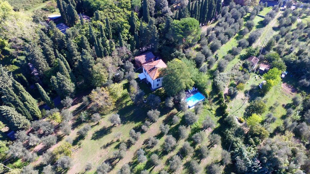 Tenuta di Ghizzano Resort photo 1
