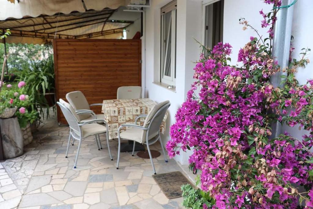Apartmani Zeleni Raj photo 1
