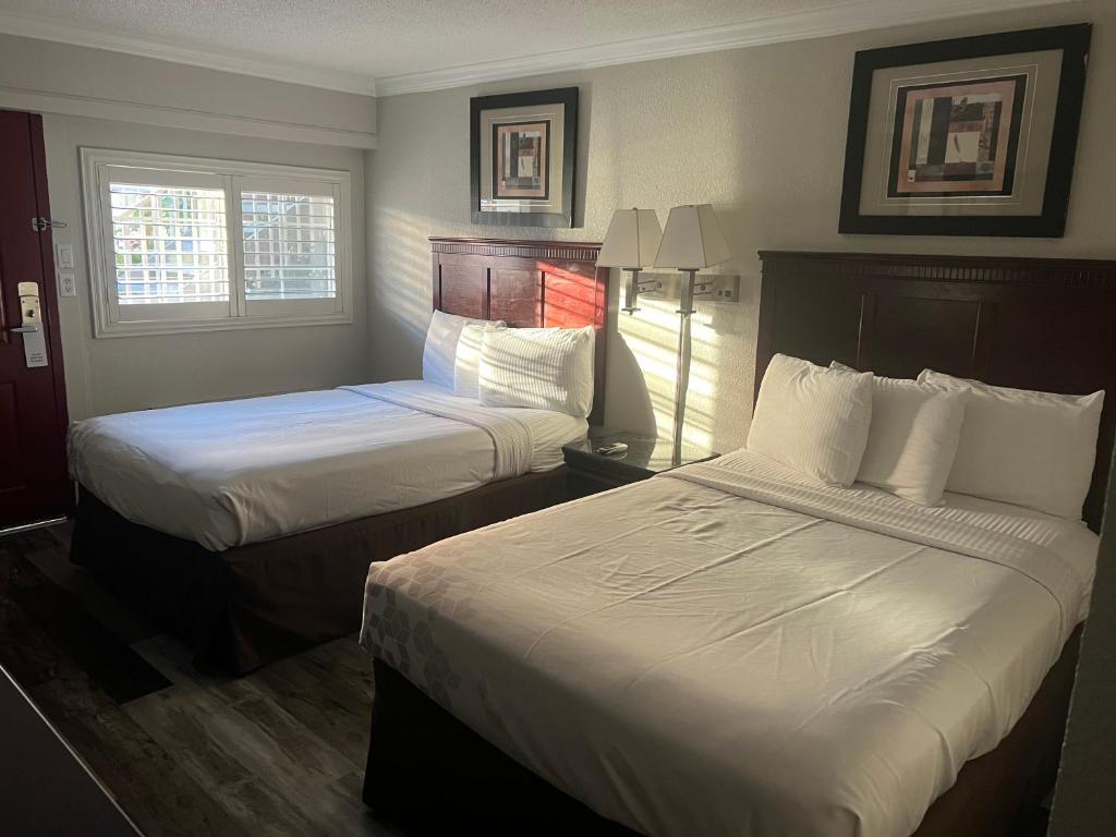 Dream Inn photo 1