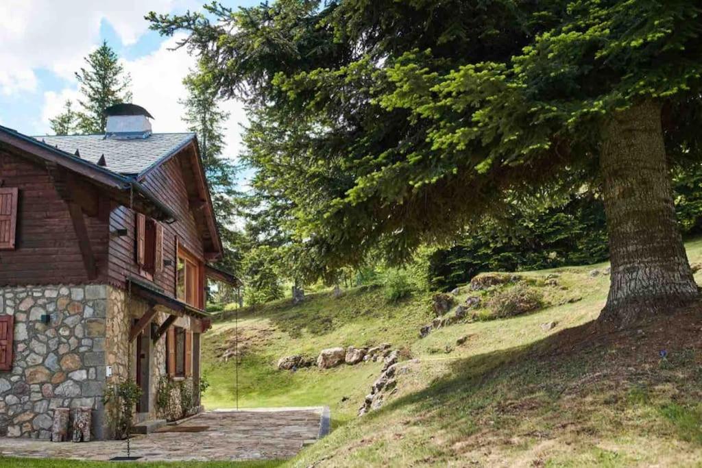 Casa Pyrenees - Slow Life Refuge photo 3