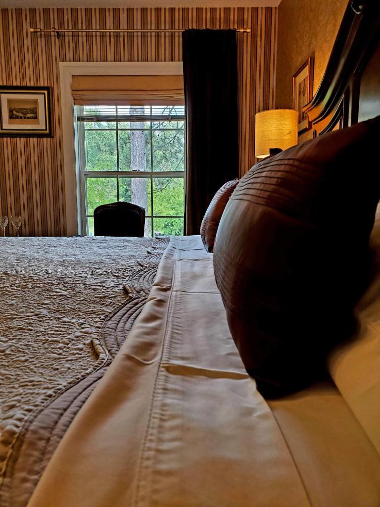 Darlington House Bed and Breakfast photo 4
