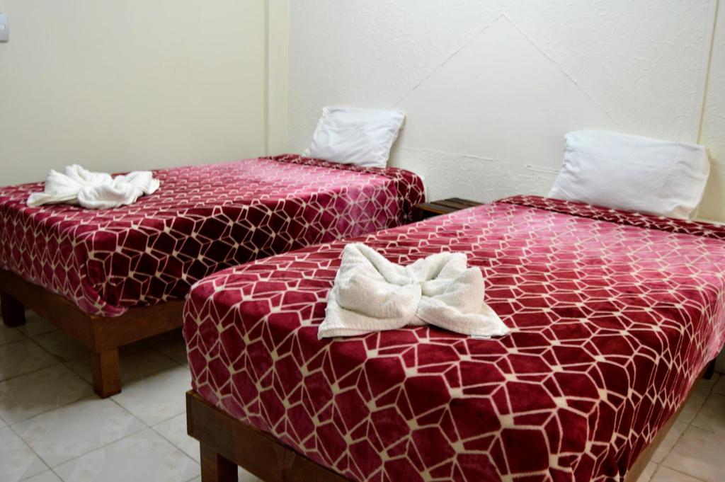 Hotel Casa Genesis photo 2