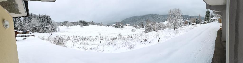 le Cozy du Poli photo 2