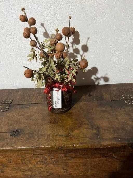 Casa Tía Modesta es una cálida y acogedora casa rural photo 1
