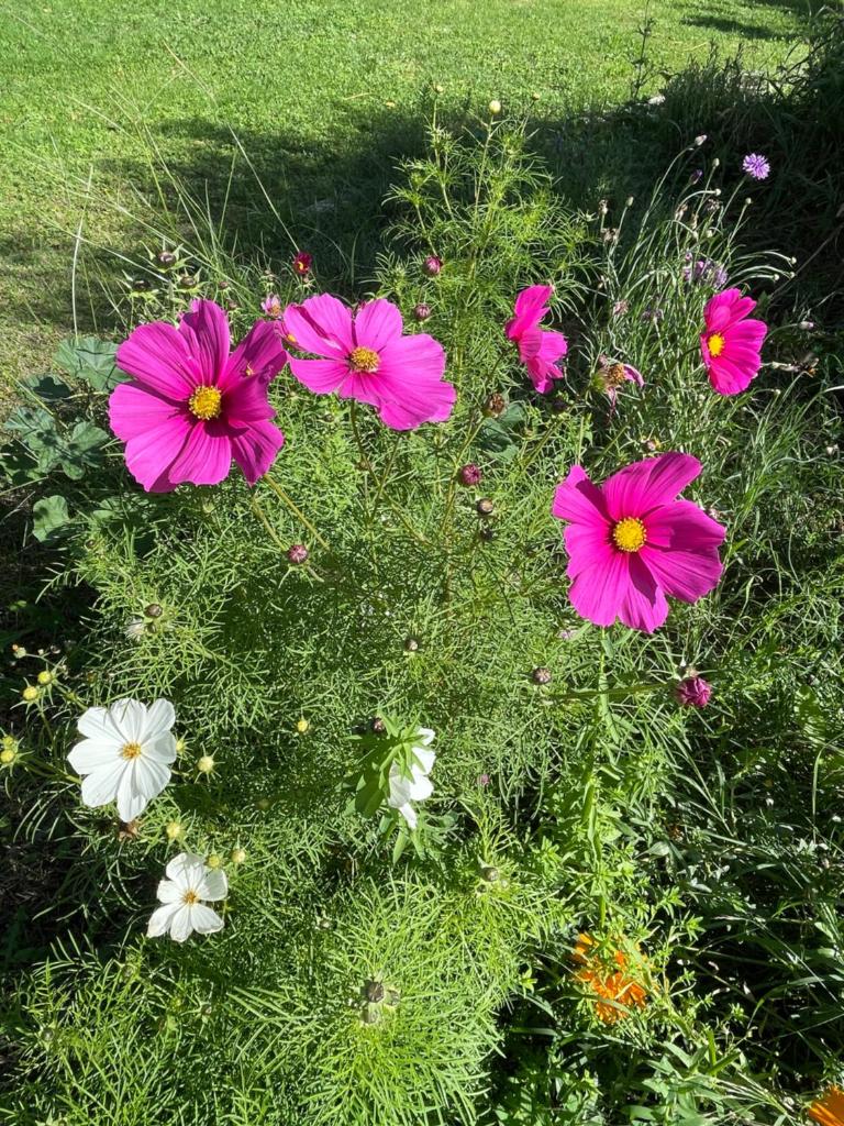 FUVOLEA, Maison de vacances à 15 min du centre d'Aix-en-Provence, piscine chauffée mai à fin septembre - jardin - parking privé gratuit photo 4