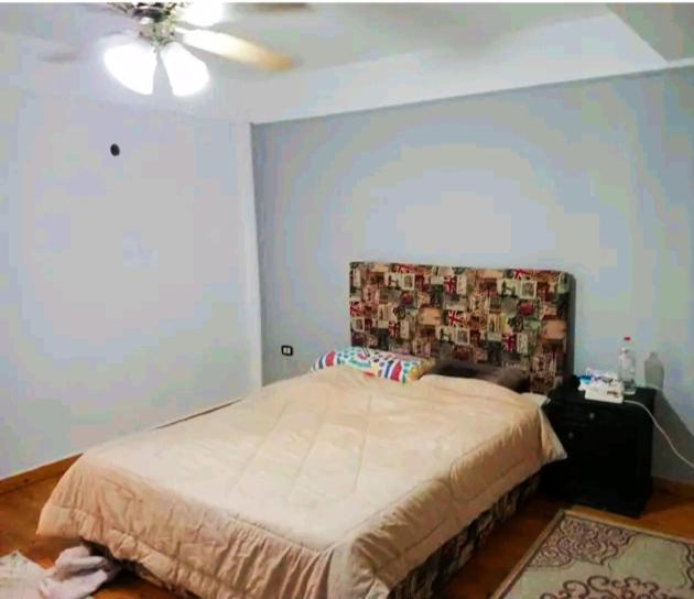 Shared apartment photo 3