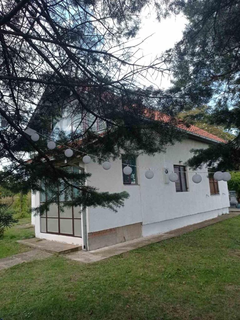 Resetovac photo 3