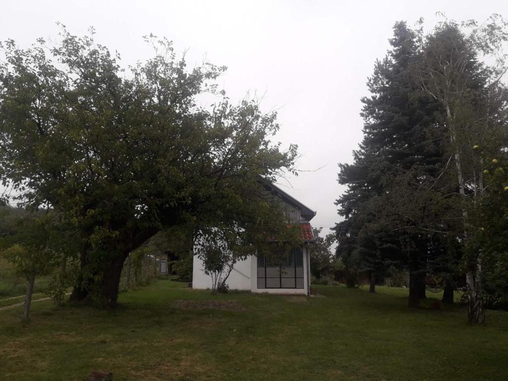 Resetovac photo 4