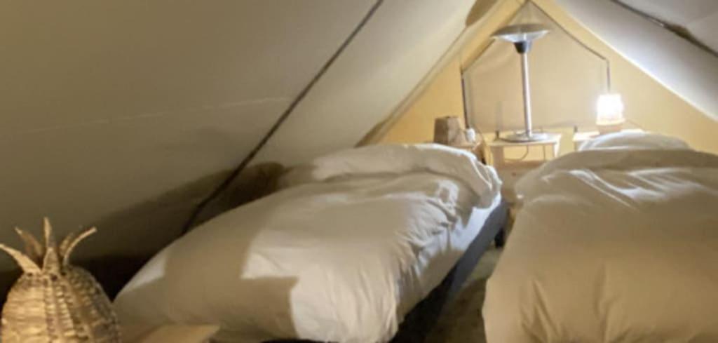 Ecolodge Beauregard photo 2