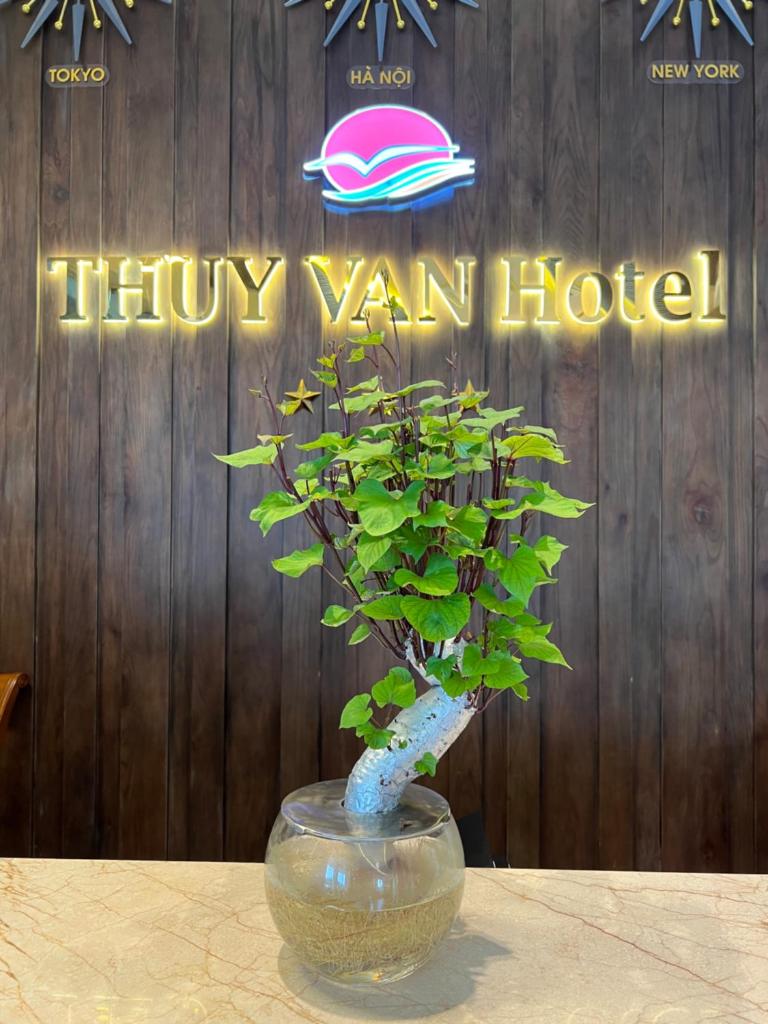 Thuy Van Hotel