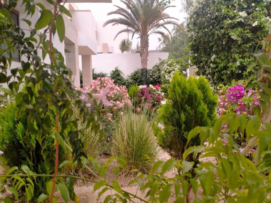 Splendide villa Anarouz avec piscine photo 3