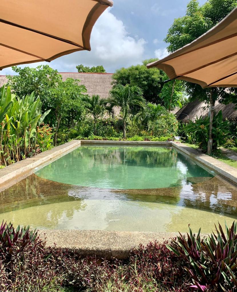 Three Little Birds Resort photo 1