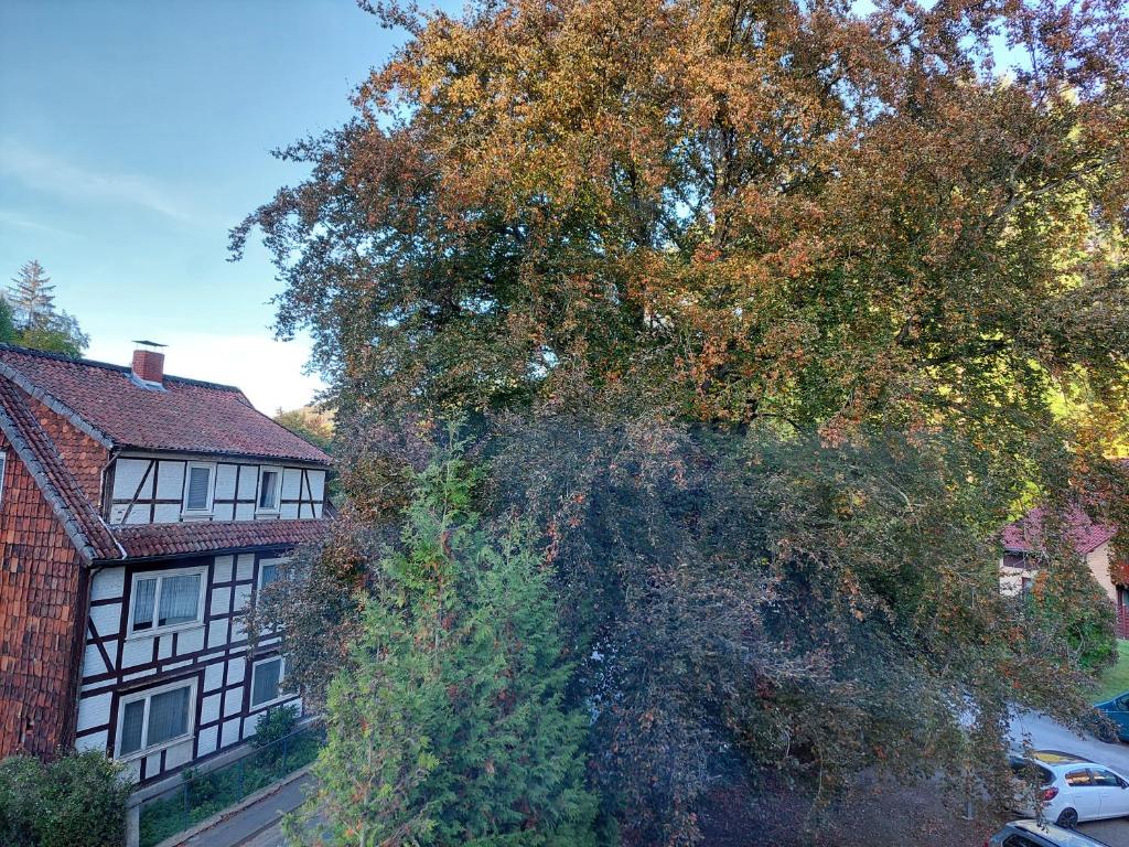 Gemütliche Ferienwohnung im Harz photo 1