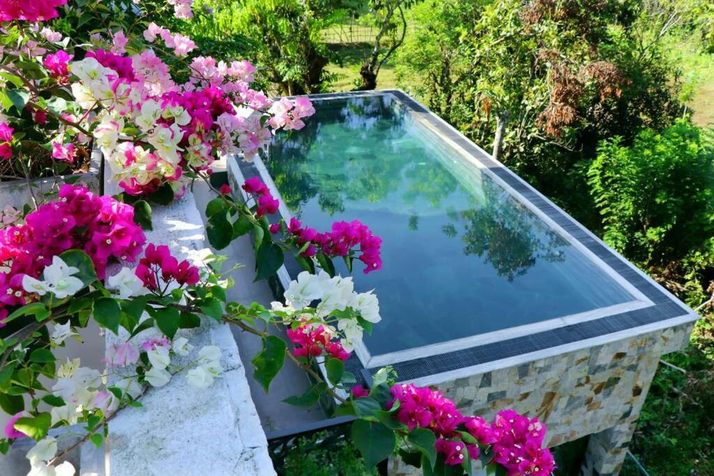 Calm luxury villa with Pool photo 1