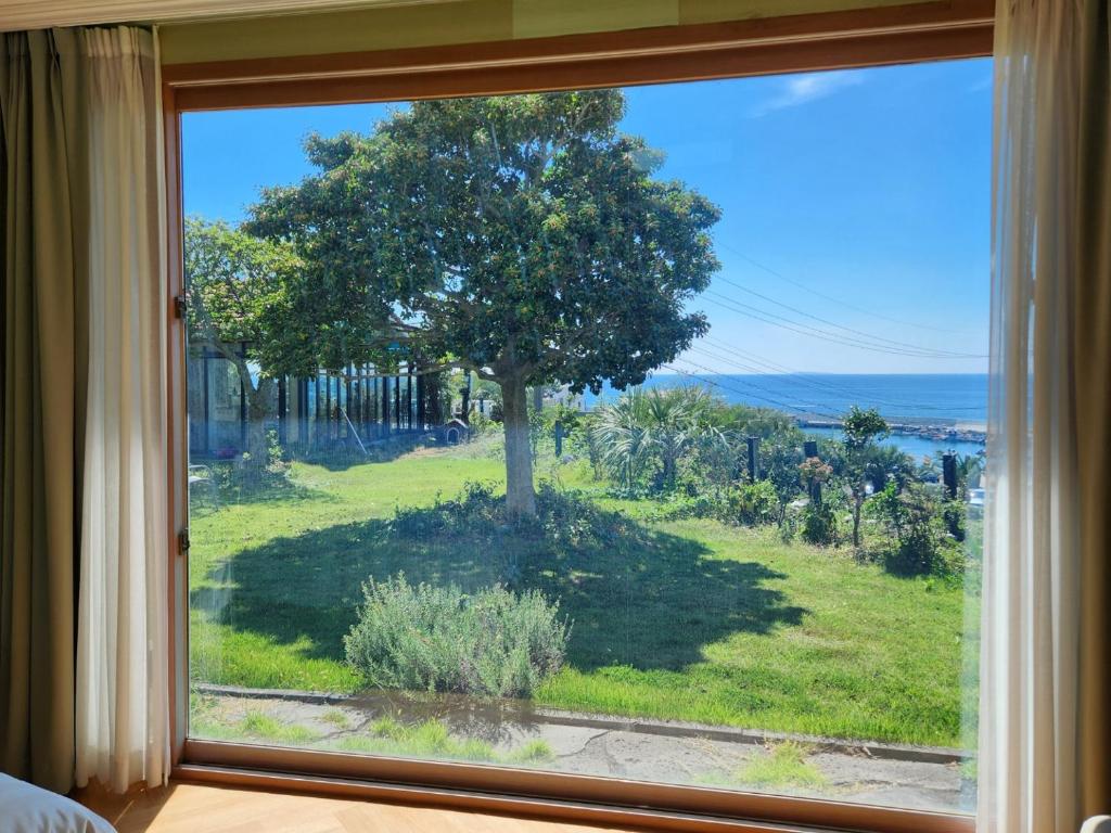 JEJU Doldam B&B photo 3