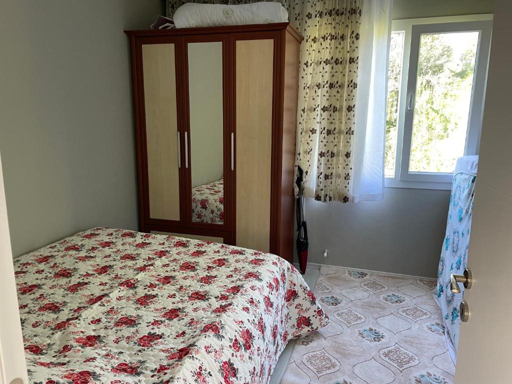 Natural life house photo 4