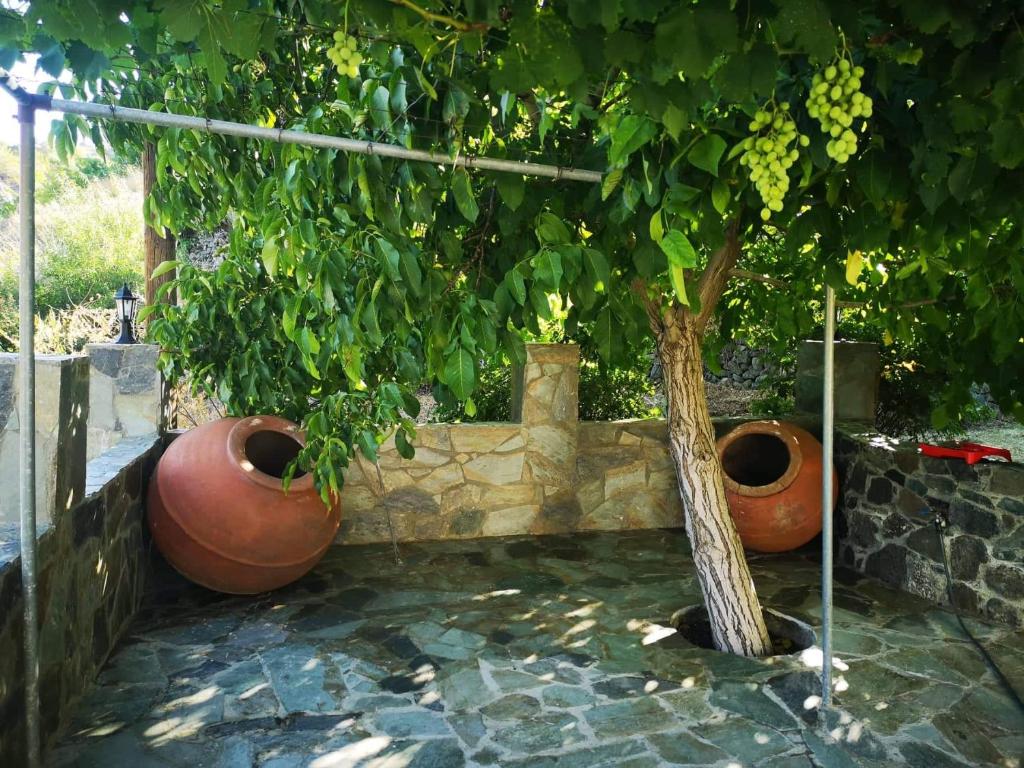 Veranda photo 3