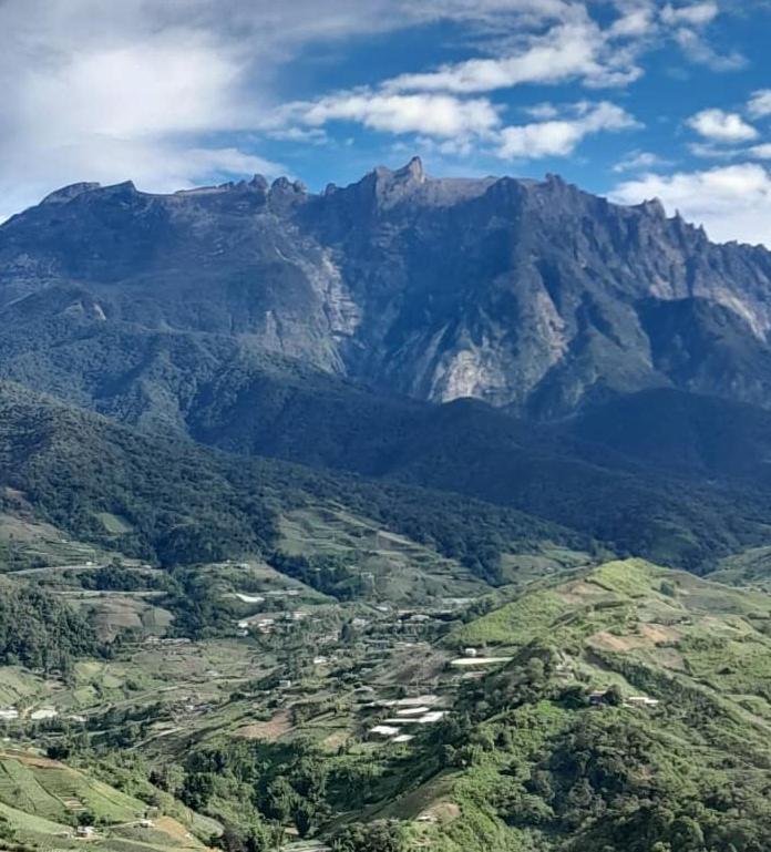 D'TERRACE KUNDASANG photo 2
