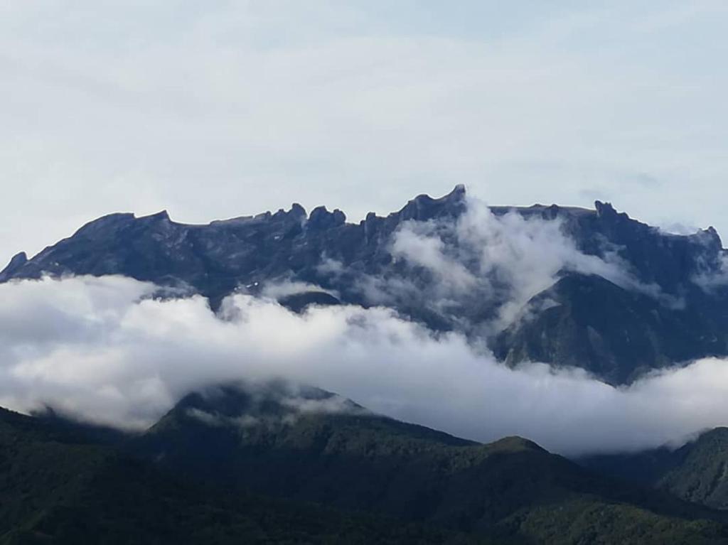 D'TERRACE KUNDASANG photo 4