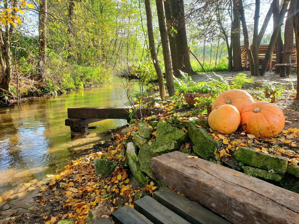 Jurajska Sielanka - domek nad rzeczką photo 3