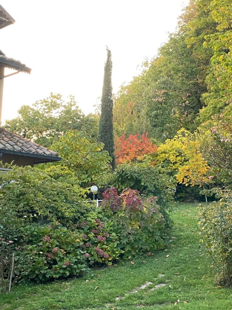 Hotel Parco Erosa photo 1
