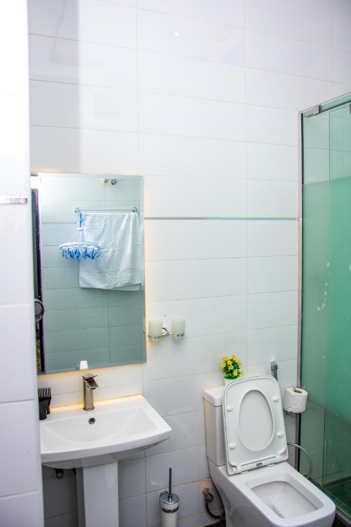 NIFEWAT APARTMENT leed studio apartment with gym, Netflix and WiFi photo 3