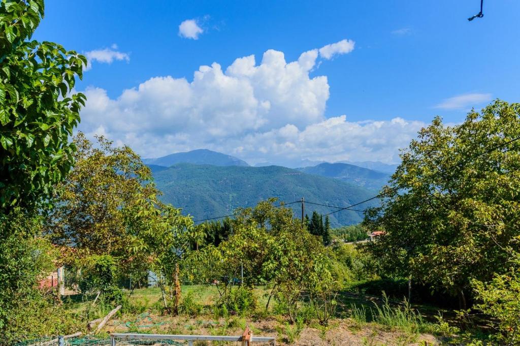 Σπίτι στο Τείχιο με θέα Βαρδούσια και Γκιώνα