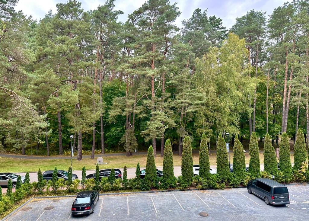 Naujai įrengti pušyno apartamentai - bekontaktis įėjimas photo 4