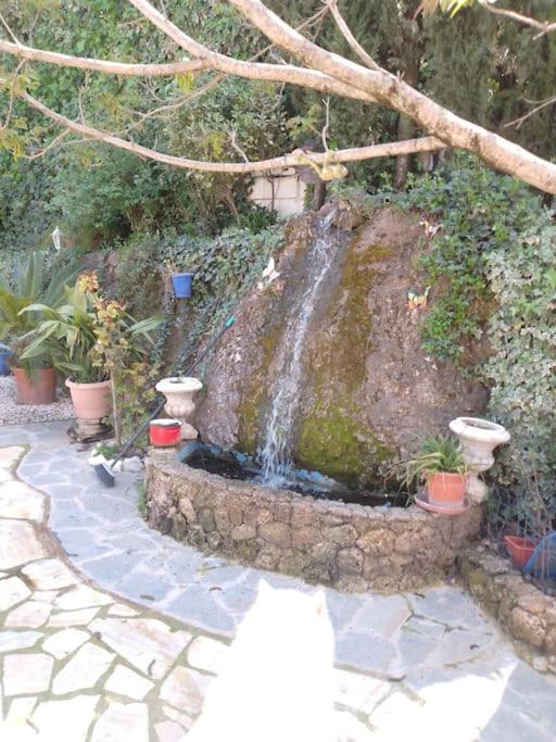 la Vega Fuente las moreras photo 2