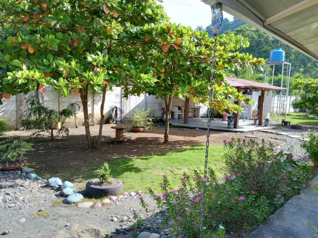 villa tavago photo 4