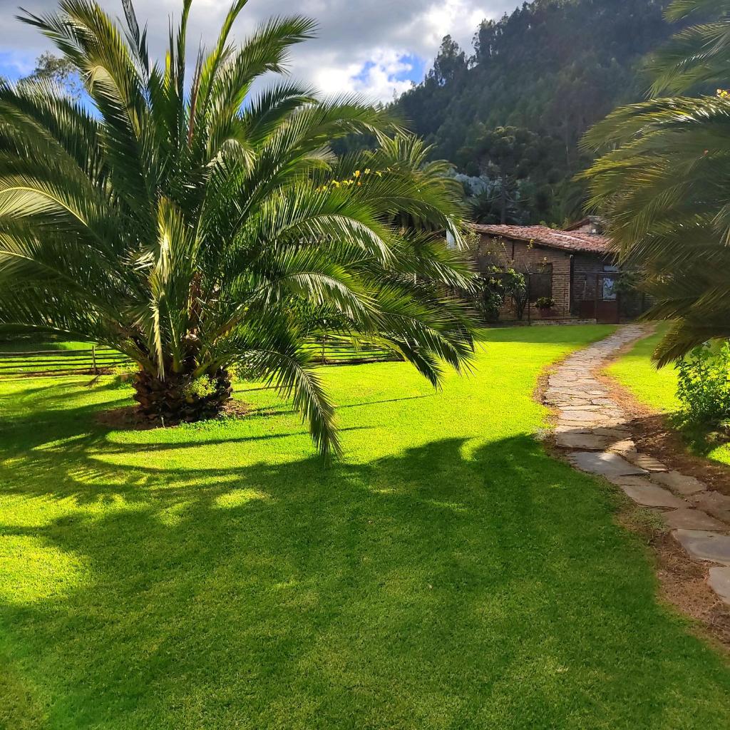 Finca San Pedro photo 2
