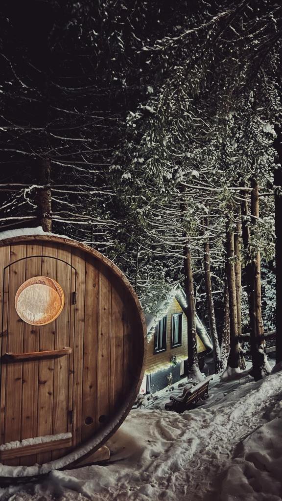Chalet bord de l'eau