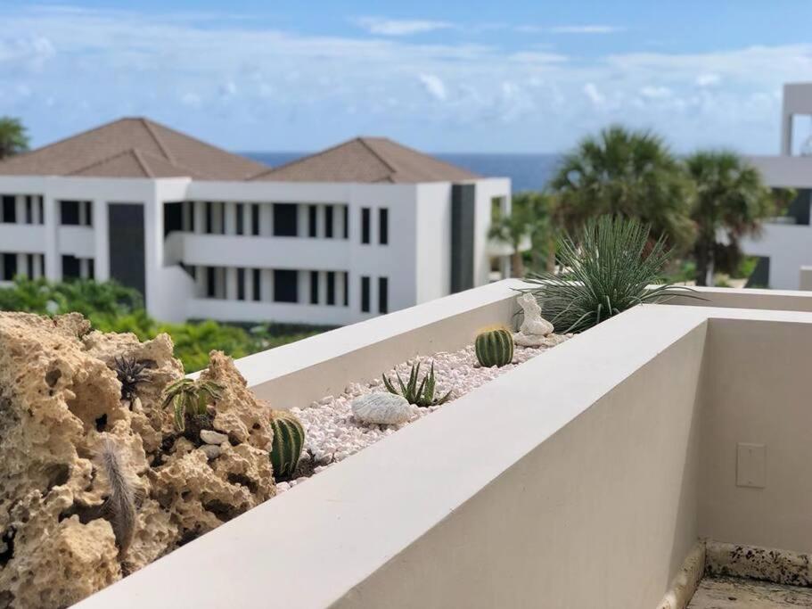 The beach House- 1Room Apartment at Blue Bay resort photo 2
