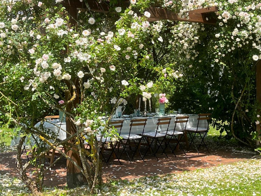 I Ginepri exclusive CountryHouse, 15pax, private pool, Aulla photo 1