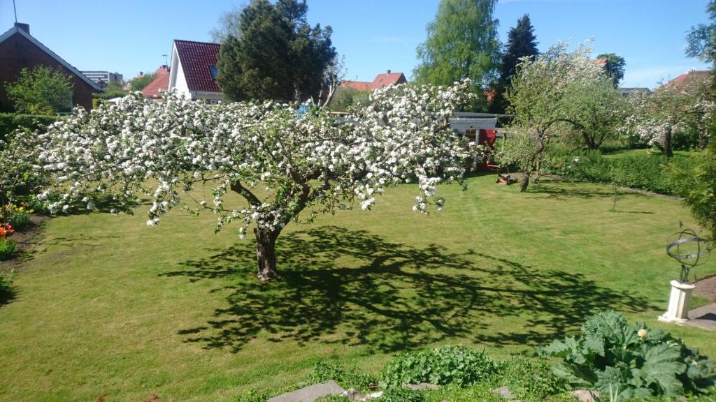 Bymarkens B&B photo 1
