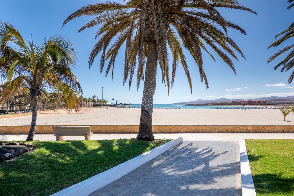 Barceló Fuerteventura Royal Level - Adults Only photo 4