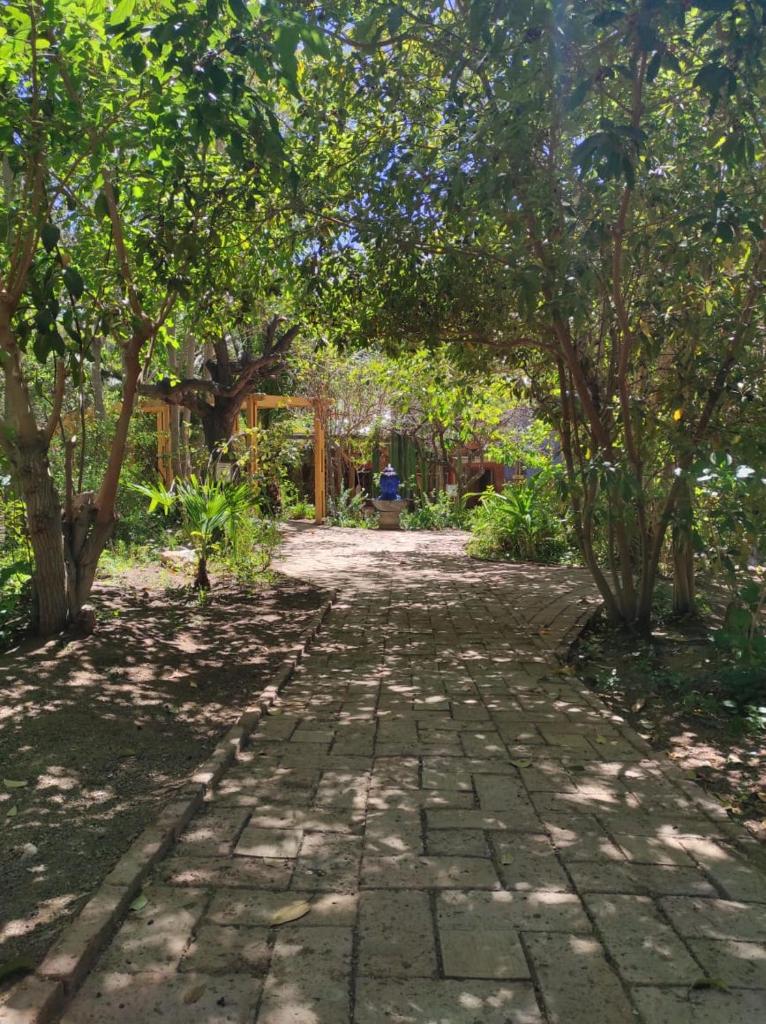 El Jardín Secreto-Pisco Elqui photo 2