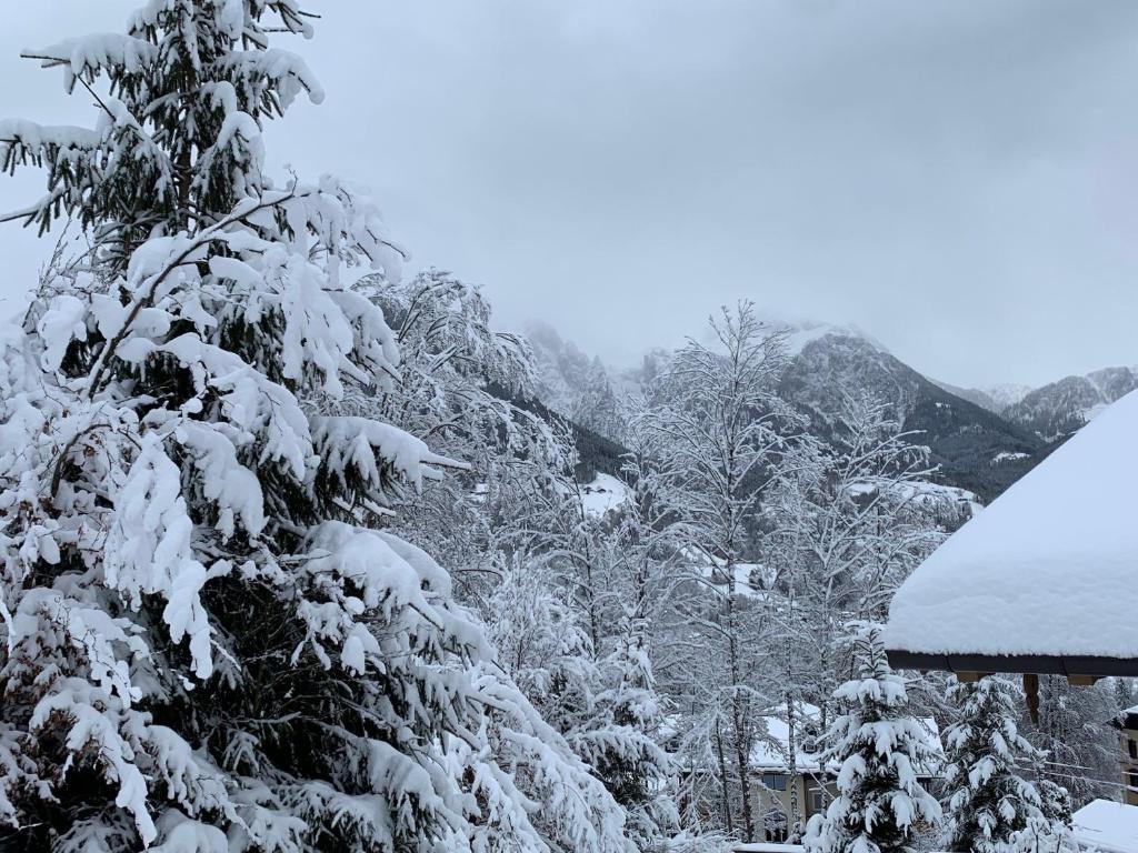 Alpenvilla Berchtesgaden Appartements photo 4