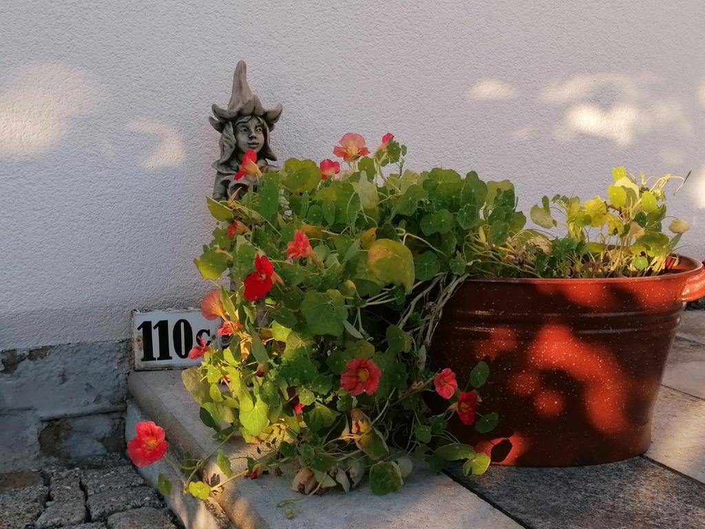 Käthes Sommerhaus photo 1