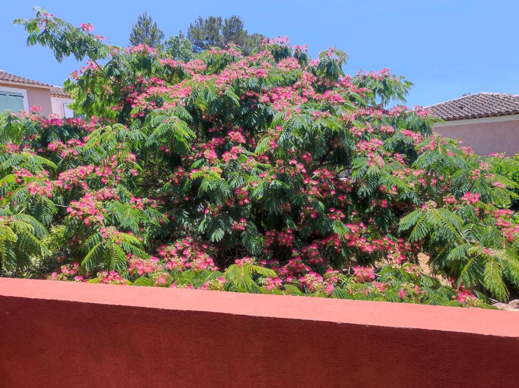 Villa plein soleil photo 4