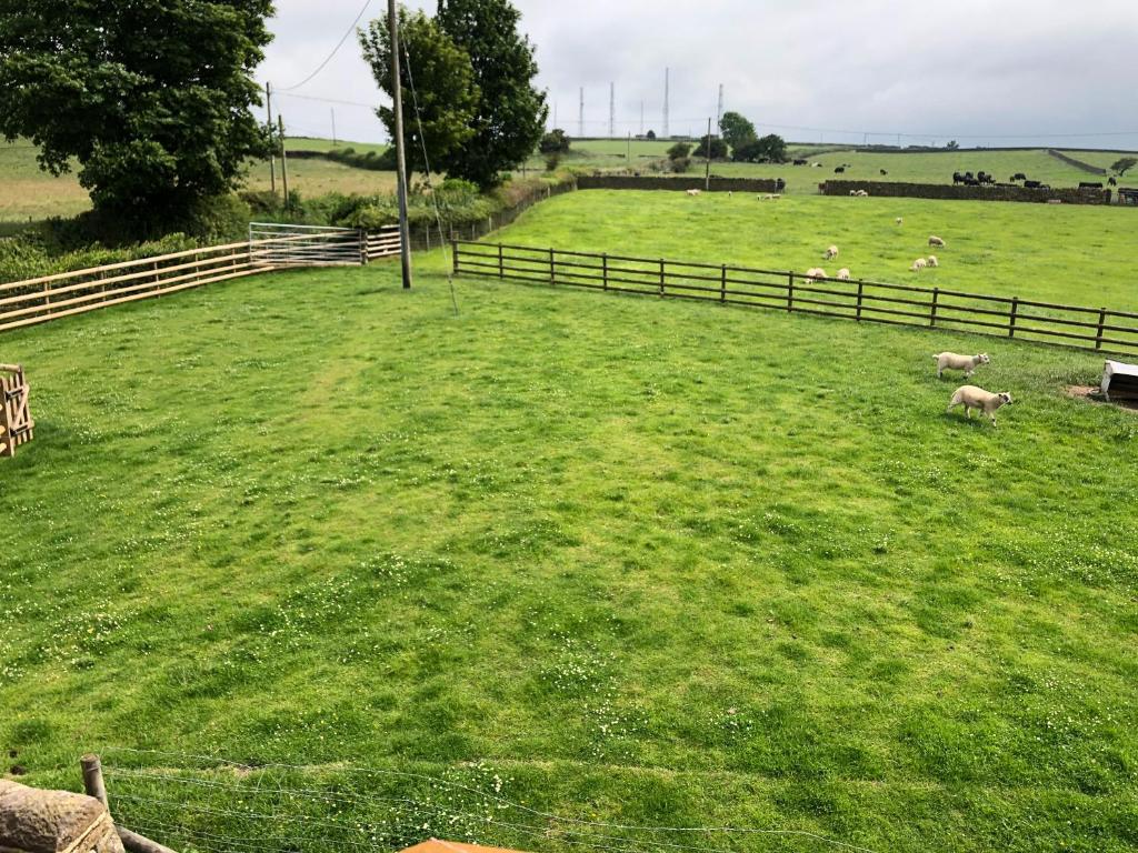 Broadgates Cottage Working Farm Ashleyhay Matlock photo 1