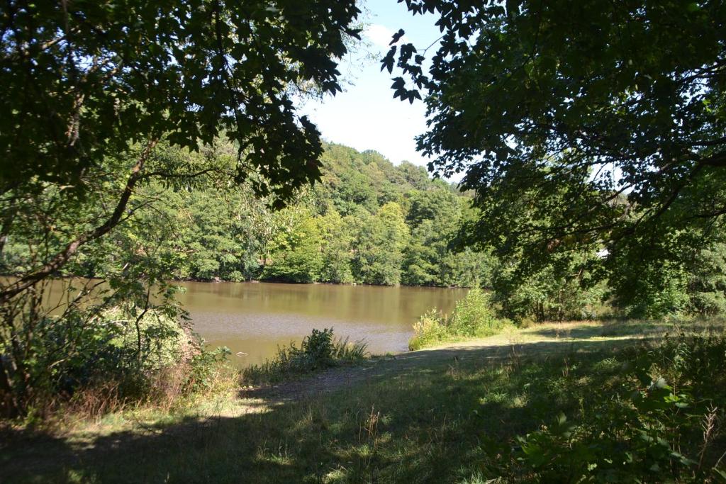 Frankenau Fewo Kellerwald photo 3