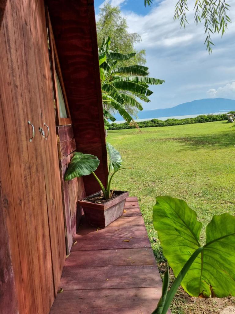 Eco Hotel Tahawi photo 3