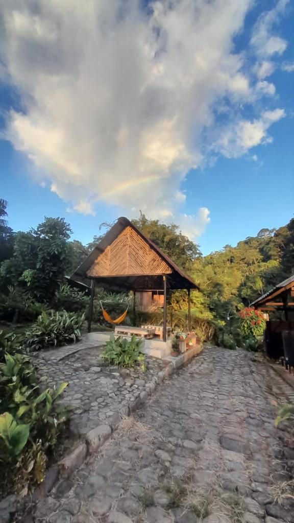 Playa Selva Lodge photo 2