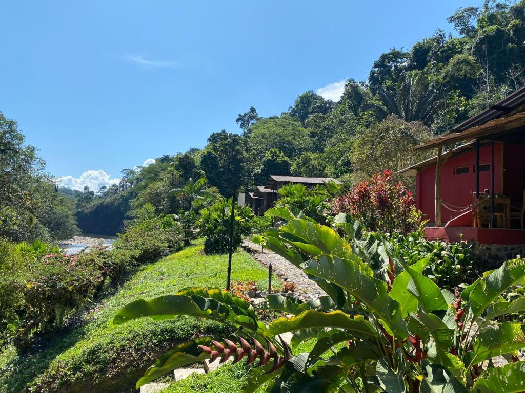 Playa Selva Lodge