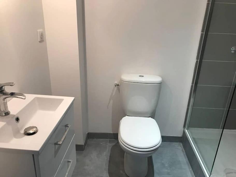 Appartement 10 pers face gare SNCF Appart Hotel le Cygne A photo 4