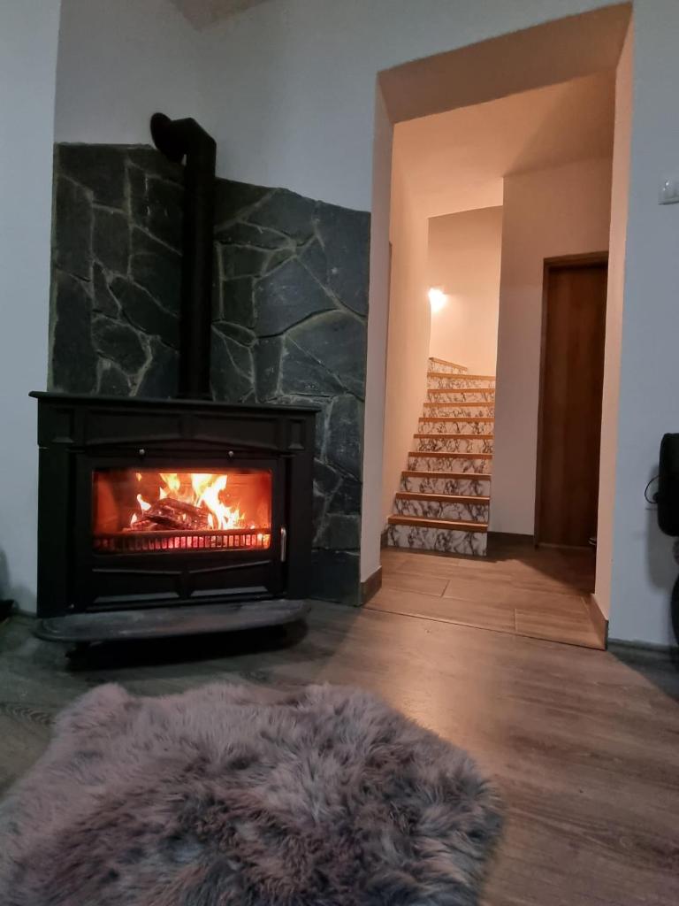 Apartman Lynx on lake Sabljaci photo 4