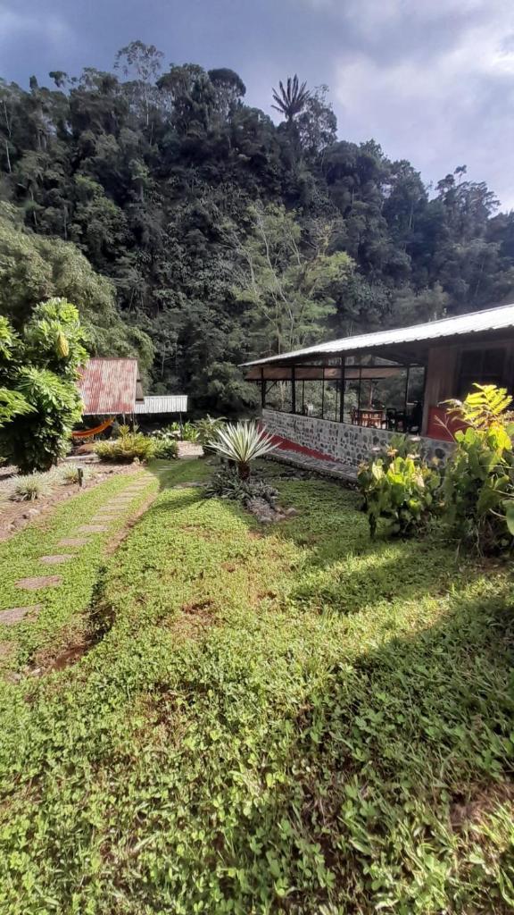 Playa Selva Lodge photo 3