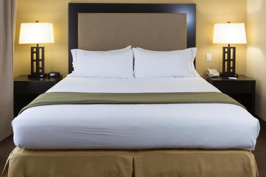 Holiday Inn Express Hotel & Suites Jacksonville Airport, an IHG Hotel photo 3