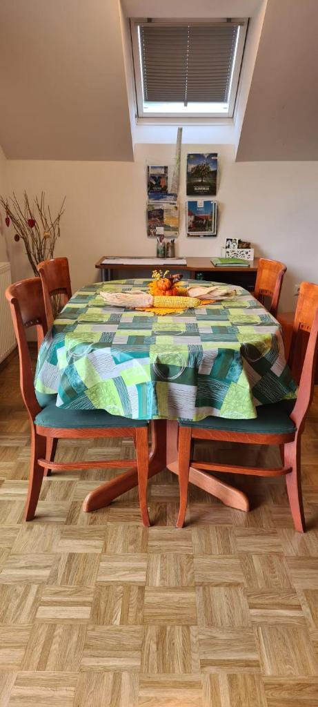 Apartment Kranj - huge terrace, free P, WI - FI, AC photo 4
